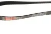 Ремінь генератора Ford Focus/Fiesta/Fusion/Mazda 2 1.25-1.6 98- Gates 6PK1042-1059SF (фото 2)