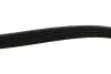 Ремінь генератора Ford Focus/Fiesta/Fusion/Mazda 2 1.25-1.6 98- Gates 6PK1042-1059SF (фото 3)