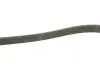 Ремінь генератора Hyundai i30 1.4i 07-12 Gates 6PK1255 (фото 3)