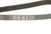 Ремінь генератора Fiat Punto/Opel Combo 1.3 CDTI 05- (+AC) Gates 6PK1320 (фото 4)