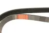Ремінь генератора Fiat Punto/Opel Combo 1.3 CDTI 05- (+AC) Gates 6PK1320 (фото 5)