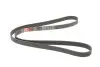 Ремінь генератора Fiat Doblo/Opel Combo 1.3D 10- Gates 6PK1525 (фото 2)