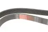 Ремінь генератора Fiat Doblo/Opel Combo 1.3D 10- Gates 6PK1525 (фото 4)