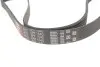 Ремень генератора Golf IV/BMW/Ford/Opel Gates 6PK1540 (фото 2)