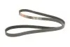 Ремінь генератора Opel Astra J/K/Insignia A/B/Ford Escort/Fiesta 1.4/1.6/1.6CDTI 90- Gates 6PK1633 (фото 2)