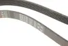 Ремень генератора Skoda Rapid 1.6 12-/ Toyota Avensis 1.4-1.6 03-08 Gates 6PK1730 (фото 4)