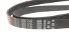 Ремень генератора BMW 3 (E46)/Audi A6 1.8i/2.7i 00- Gates 6PK1735 (фото 2)