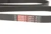 Ремінь генератора Dacia Dokker/Duster/Logan 1.4/1.6 04- Gates 6PK1823XS (фото 3)