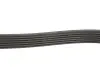 Ремень генератора Jeep Wrangler 4.0 i 96-07/Subaru Forester 2.0 13- Gates 6PK1910 (фото 3)