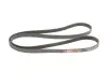 Ремень генератора Infiniti FX/M45/Lexus GS/Mitsubishi Outlander 1.8-4.5 93- Gates 6PK1938 (фото 2)