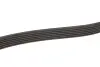 Ремінь генератора Audi A4/A5/A6 2.7TDI/3.0TDI 04-11 Gates 6PK2500 (фото 4)