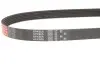 Ремень генератора Citroen Berlingo 1.6VTi 09- Gates 6PK905 (фото 2)