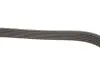 Ремінь генератора VW Golf/Skoda Octavia 2.0i 04-13/Mazda 2/3 1.5 13-/Kia Ceed/Cerato 1.4/1.6 07- Gates 6PK955 (фото 4)