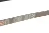 Ремень генератора VW Polo/Up 11-/Skoda Fabia 14-/Seat Ibiza 1.0/1.6 15- (6PK989) Gates 6PK989SF (фото 4)