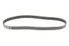 Ремінь генератора Toyota Hilux/Hiace 2.5D/3.0D 01- Gates 7PK1095 (фото 2)