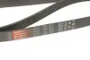 Ремінь генератора BMW 3 (E90-E93)/5 (E60) 3.0 06-11 N54/N55 Gates 7PK1855 (фото 3)