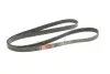 Ремінь генератора Honda Accord VIII 2.0 I 08-/ Land Rover Range Rover II 3.9-4.6 94-02 Gates 7PK2080 (фото 2)