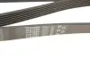 Ремінь генератора Honda Accord VIII 2.0 I 08-/ Land Rover Range Rover II 3.9-4.6 94-02 Gates 7PK2080 (фото 4)