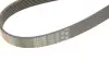 Ремінь генератора Land Rover/Toyota Land Cruiser 120 4.0i/4.6 94- Gates 7PK2120 (фото 4)