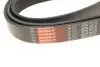 Ремінь генератора Toyota Land Cruiser 4.6 V8 10- Gates 8PK2410 (фото 5)