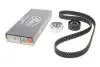 Комплект ГРМ Citroen Jumper/Peugeot Boxer 2.5D 94-02 Gates K015420XS (фото 2)