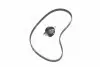 Комплект ГРМ VW Caddy/Golf/Polo 1.6i 95-01/Skoda Octavia 1.6 96-04/Seat Ibiza 1.6 93-02 (19x137z) Gates K015428XS (фото 2)