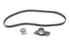 Комплект ГРМ 1.9D Kangoo 97-03/Clio 91-05/Rapid 94-98 Gates K015484XS (фото 1)
