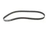 Комплект ГРМ Citroen Berlingo/Peugeot Partner 1.6 16 V 00- Gates K015581XS (фото 5)