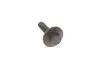 Комплект ГРМ Mazda 2/Ford Fiesta/Focus/Volvo S40/V50 1.25i-1.6 16V 95- (22x117z) Gates K025433XS (фото 3)
