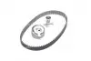 Комплект ГРМ Porsche Cayenne 3.0 TDI/VW Touareg 3.0 V6 TDI/Audi Q5/Q7 3.0 TDI 09- (24x82z) Gates K025676XS (фото 2)