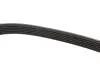 Комплект ременя генератора Hyundai Elantra III/Santa Fe I-II/Sonata V 2.0D/2.2D 01- (6PK1513) Gates K026PK1513 (фото 3)