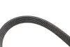 Комплект ремінця генератора Skoda Octavia/VW Golf IV 1.4/1.6 16V 96-10 (6PK1548) Gates K026PK1548 (фото 3)