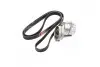 Комплект ремня генератора Chevrolet Captiva,Epica,Evanda,Lacetti,Tacuma 2.0 Gates K026PK1893 (фото 2)