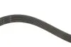 Комплект ременя генератора Audi A2/Seat Ibiza/Skoda Fabia/VW Golf/Polo 1.4/1.6/1.6FSI 97-15 (6PK1078) Gates K036PK1078 (фото 5)