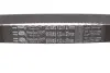 Комплект ГРМ + насос Renault Kangoo 1.5dCi 10- (насос 65521) KP25578XS-2