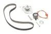 Комплект ГРМ + насос Renault Kangoo 1.5dCi 01- (123x27) (насос 65567) KP25578XS