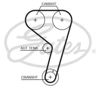 Ремень ГРМ B-MAX, C-MAX II, ECOSPORT, FIESTA VI, FIESTA VII, FOCUS III, FOCUS III/HATCHBACK, FOCUS III/KOMBI, GRAND C-MAX, MONDEO V, TOURNEO CONNECT V408 NADWOZIE WIELKO 1.0-2.1LP - Gates T359HOB