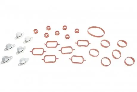 Ремкомплект впускного коллектора BMW 3 (E46/E90)/5 (E39/E60)/X5 (E53/E70) 3.0d (M47) 98-11 GAZO GZ-A2136