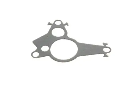Прокладка насосу вакуумного Renault Trafic/Scenic/Megane 1.6dCi 11- GAZO GZ-A2171