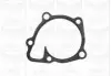 Насос воды Mitsubishi Lancer VIII/Outlander II/III/Jeep/Dodge 2.0/2.4 4WD 06- (R/B) (6лоп) GRAF PA1082 (фото 3)