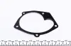 Насос воды Renault Trafic/Megane/Laguna/Opel Vivaro/Mitsubishi/Volvo 1.9dCi/2.0 00- (10 лоп)(B/B HD) GRAF PA1087 (фото 6)