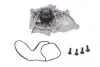 Насос воды Audi A3-A7/VW Golf VII/Passat VIII/Skoda Octavia IV 1.8-2.0TSI/TFSI 12- (29z)(B/B)(5 лоп) GRAF PA1246 (фото 1)