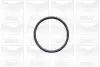 Насос воды BMW 3/5/7 318tds/325td/tds/525td/tds/725tds 91-04/Opel Omega B 2.5D/TD 94- (R/B) (7 лоп.) GRAF PA502A (фото 2)