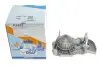 Насос воды Renault Kangoo/Megane/Clio 1.4/1.4i/1.4e 96- (20z) (B/B) (8 лоп) GRAF PA633 (фото 5)