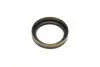 Подшипник ступицы (задней) Fiat Ducato 94-02/Citroen Jumper 94-02 (30x55x17/40x68x19.7) (к-кт) GSP GK3429 (фото 12)