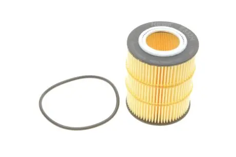 Фильтр масляный Citroen C5/Peugeot 407 3.0HDI 09-/Land Rover Discovery/Range Rover Sport 3.0TD 09- HENGST FILTER E832H D317