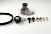 Комплект ГРМ + помпа Ford Focus 98-12/Fiesta 1.4/1.6 96-08 (117x22)(помпа P235) HEPU PK02350