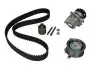 Комплект ГРМ + насос VW Caddy III 07-10-/Golf IV/V 00-11/Passat 1.9T/2.0 TDI 00-09 (120x30) PK05500