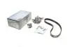 Комплект ГРМ + насос Renault Clio/Kangoo 1.2 16V 01- (95x23.4) PK09540