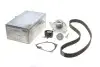 Комплект ГРМ + помпа Renault Kangoo 1.5dCi 01- (z=123) PK09580